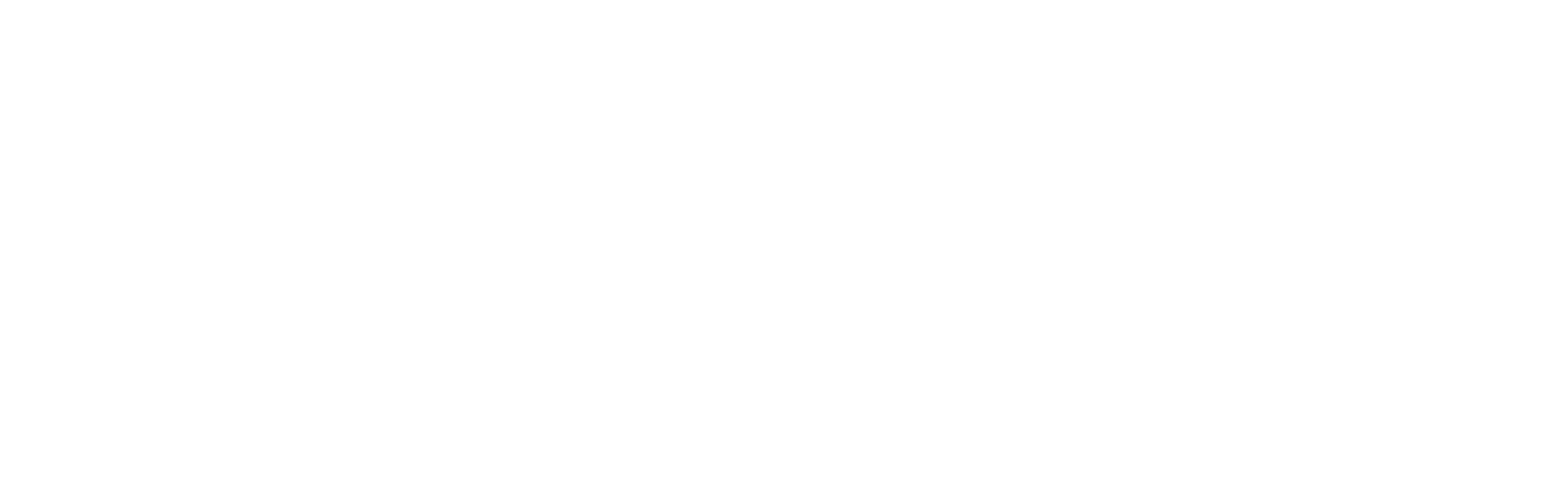 American Stories NETWORK-v2-WHITE