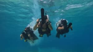 Surviving Mann: All-Stars goes underwater in Belize.