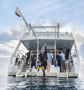 BAIII20Jump scaled e1776870890540