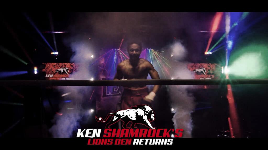 LionsDen StillsB logo