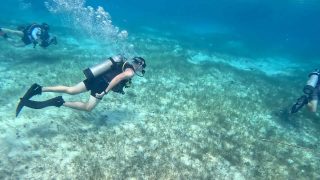 AS2b-Screens-Still0012